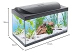Tetra Starter Line Aquarium-Komplettset mit LED-Beleuchtung stabiles 54 Liter Einsteigerbecken mit Technik, Futter und Pflegemitteln - 7