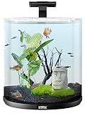 Tetra AquaArt Explorer Line Aquarium Komplett-Set 60 Liter anthrazit (gewölbte Frontscheibe, langlebige LED-Beleuchtung, ideal für die Haltung von tropischen Zierfischen) - 2