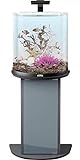 Tetra AquaArt Explorer Line Aquarium Komplett-Set 60 Liter anthrazit (gewölbte Frontscheibe, langlebige LED-Beleuchtung, ideal für die Haltung von tropischen Zierfischen) - 3