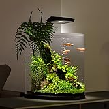 Tetra AquaArt Explorer Line Aquarium Komplett-Set 60 Liter anthrazit (gewölbte Frontscheibe, langlebige LED-Beleuchtung, ideal für die Haltung von tropischen Zierfischen) - 6
