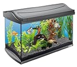 Tetra AquaArt Aquarium-Komplett-Set Tropisch 60 L, anthrazit - 2