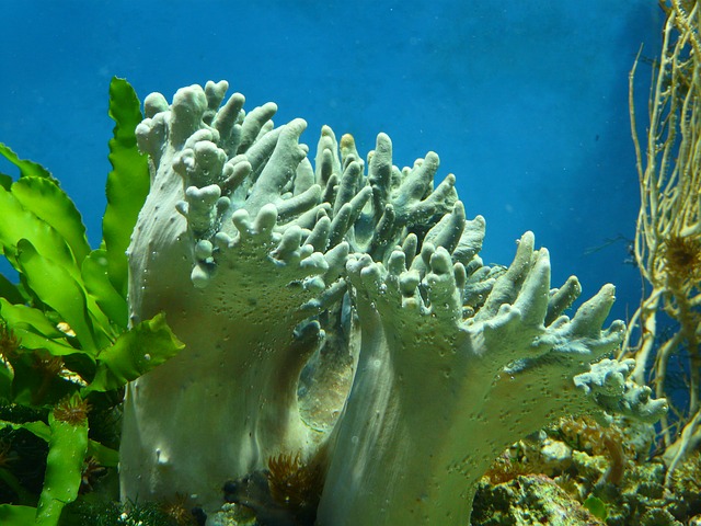 nanomeerwasseraquarium